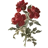 🌹
