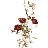 🥀