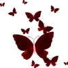 🦋