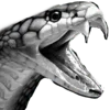🐍
