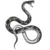 🐍