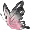 🦋