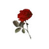 🥀