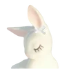🐇