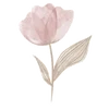 🌸