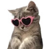 🐱