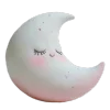 🌙