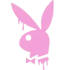 🐰