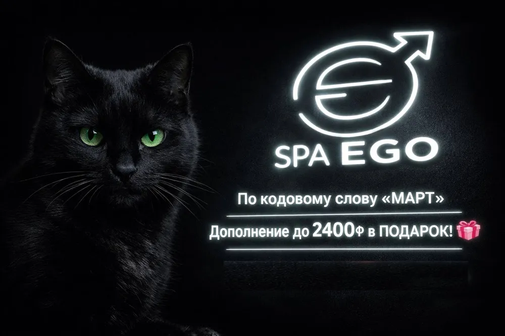 Мартовские коты, время выходить на охоту за эмоциями, фото 1