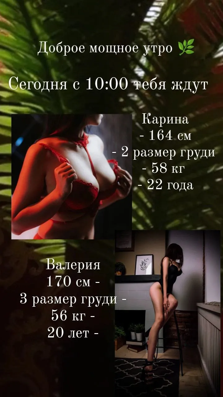 Доброе утро , Котик !, фото 1